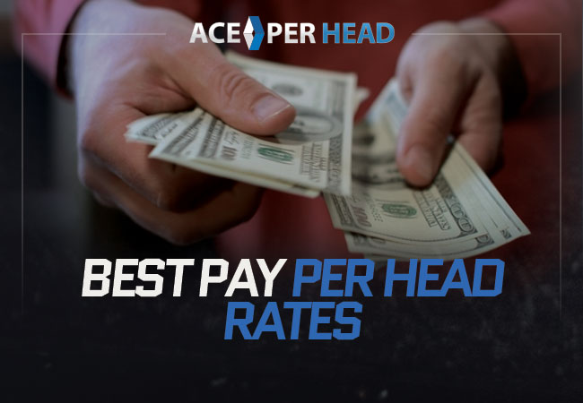 How Much Do Bookies Make Per Bet Pay Per Head